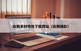 丹东白鹅素材特效下载网站（白鹅摄影）